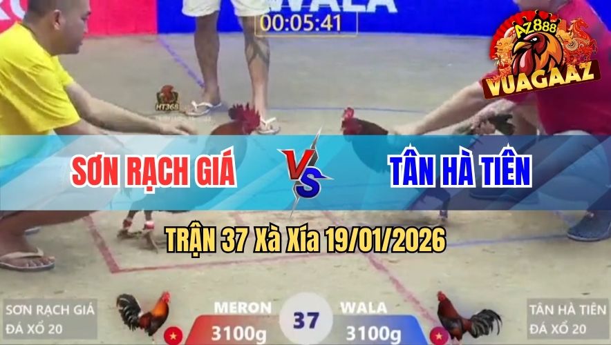 VUA GÀ AZ