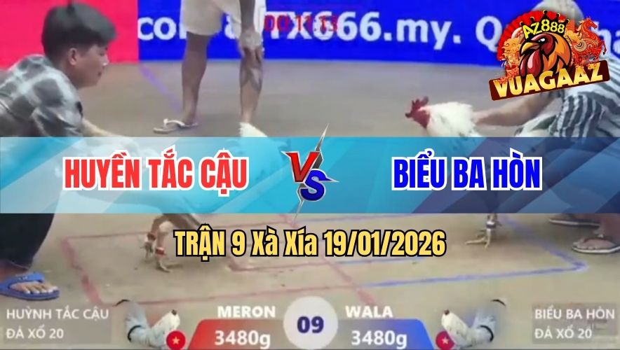VUA GÀ AZ