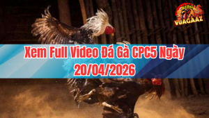 Xem Full Video Đá Gà CPC5 Ngày 20/04/2026