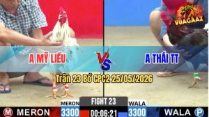 Trận 23 CPC2 25/05/2026 - Anh Thái Làm Thịt Anh Mỹ Liều Nhẹ Nhàng