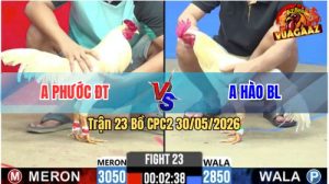 Trận 23 CPC2 30/05/2026 - Gà Úa Anh Kiểm Đá Khôn Như Người Ta