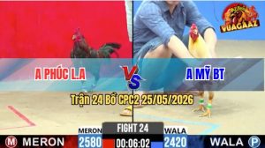 Trận 24 CPC2 25/05/2026 - Anh Phúc Lụm Anh Mỹ Liều Vì Tội Chấp Ngông