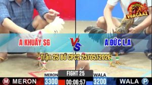 Trận 25 CPC2 25/05/2026 - Gà Bướm Anh Khuầy Đá Cựa Quá Đau