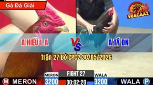 Trận 27 CPC2 30/05/2026 - Gà Anh Tý Đồng Nai Đá Đâm Như Sát Thủ