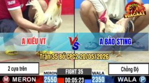 Trận 35 CPC2 20/05/2026 - Idol Bảo Sting Chồng Độ Đụng Anh Kiều VT