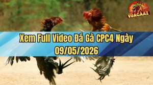 Xem Full Video Đá Gà CPC4 Ngày 09/05/2026