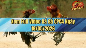 Xem Full Video Đá Gà CPC4 Ngày 18/05/2026