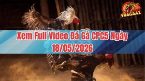 Xem Full Video Đá Gà CPC5 Ngày 18/05/2026