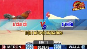 Trận 1 CPC2 18/06/2026 – Gà Anh Thiên Mở Bát Quá Thuận Lợi