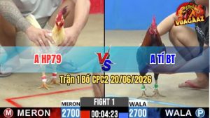 Trận 1 CPC2 20/06/2026 – Gà Bướm Đá Cựa Hiểm, Gà Điều Hư Hình