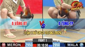 Trận 1 CPC2 22/06/2026 – Anh Tùng Thành Phố Mở Bát Quá Mát Tay