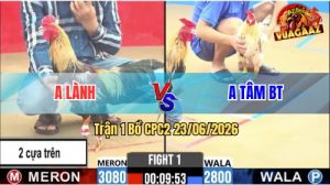 Trận 1 CPC2 23/06/2026 – Gà Anh Lành Đá 2 Cựa Trên Vẫn Ăn Dễ Dàng
