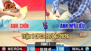 Trận 1 CPC2 Ngày 19/06/2026 tại Vua Gà AZ