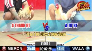 Trận 1 CPC2 21/06/2026 – Anh Thanh Gặp Anh Tư Ở Trận Mở Màn
