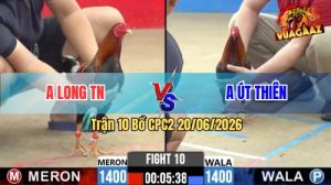 Trận 10 CPC2 20/06/2026 – Gà Anh Long Tốc Độ, Dở Chân Là Có Cựa