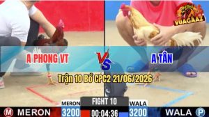 Trận 10 CPC2 21/06/2026 – Anh Phong Vũng Tàu Đánh Bại Anh Tân