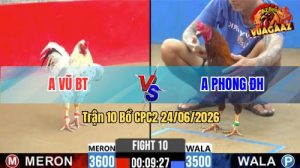 Trận 10 CPC2 24/06/2026 – Gà Bướm Anh Vũ Đá Khôn Như Người Ta