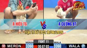 Trận 11 CPC2 18/06/2026 – Gà Anh Cường BT Đá Đòn Cựa Quá Nghiệt
