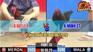 Trận 13 CPC2 18/06/2026 – Gà Anh Minh Canh Chặn Khôn Như Người Ta