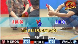 Trận 13 CPC2 22/06/2026 – Gà Điều Anh Tú Đá Cựa Đâm Như Cái Máy