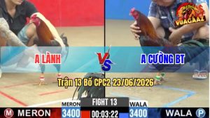 Trận 13 CPC2 23/06/2026 – Anh Lành Chấp Đá 1 Cựa Trên, 1 Cựa Dưới