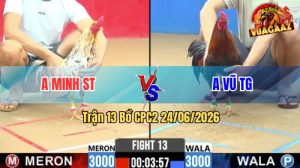 Trận 13 CPC2 24/06/2026 – Gà Bướm Anh Minh Đá Mấy Chân Đã Lụm Tiền