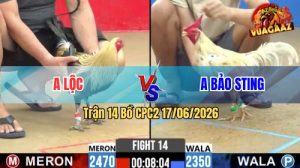 Trận 14 CPC2 17/06/2026 – Anh Lộc Đá 1 Cước, Anh Bảo Sting Về Nước