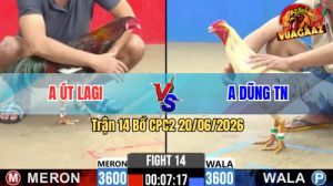 Trận 14 CPC2 20/06/2026 – Gà Điều Anh Út Lagi Ăn Miếng Trả Miếng