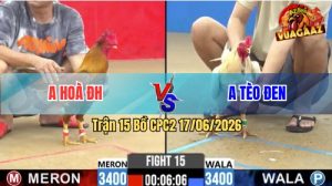 Trận 15 CPC2 17/06/2026 – Gà Bướm Anh Tèo Đen Có Chân Xạo Lờ