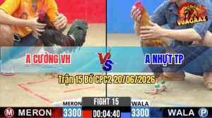 Trận 15 CPC2 20/06/2026 – Anh Cường Làm Thịt Anh Nhựt Nhanh Gọn