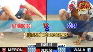 Trận 15 CPC2 21/06/2026 – Gà Cú Kêu Thì Điều Chỉ Còn Có Nước Tử