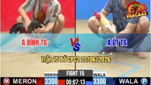 Trận 15 CPC2 22/06/2026 – Gà Điều Anh Bình Có Chân Đá Phản Hạ Bướm