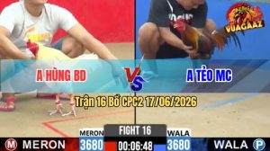 Trận 16 CPC2 17/06/2026 – Gà Úa Anh Hùng Gồng Đá Phản Lại 1 Cây