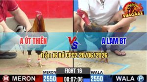 Trận 16 CPC2 20/06/2026 – Anh Út Thiên Hạ Anh Lam Trong 1 Nốt Nhạc