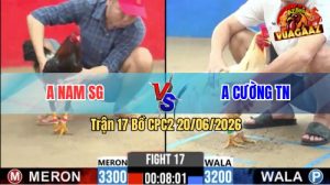 Trận 17 CPC2 20/06/2026 – Gà Bướm Anh Cường TN Đá Như Sấm Sét