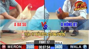 Trận 17 CPC2 22/06/2026 – Gà Úa Anh Ba Đá 1 Cây Ngay Tim Lụm Tiền