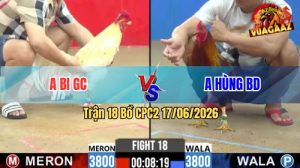 Trận 18 CPC2 17/06/2026 – Gà Điều Anh Hùng Đá Đòn Cựa Quá Nghiệt