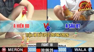 Trận 18 CPC2 20/06/2026 – Gà Bướm Anh Hiền Canh Chụp 1 Cây Quá Hay