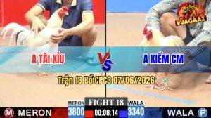 Trận 18 CPC3 07/06/2026 - Anh Kiểm Cà Mau Chấp Ngông Nhận Kết Đắng