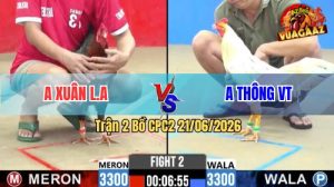 Trận 2 CPC2 21/06/2026 – Gà Điều Anh Xuân Long An Đá Đâm Như Điện