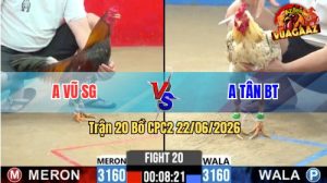 Trận 20 CPC2 22/06/2026 – Gà Điều Anh Vũ Đá Cựa Đâm Như Chĩa