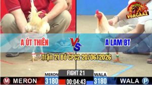 Trận 21 CPC2 20/06/2026 – 2 Con Trâu Gặp Nhau, Trận Hoà Mãn Nhãn