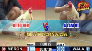 Trận 22 CPC2 17/06/2026 – Gà Bướm Anh Lam Đá Chân Nào Là Đáng Chân Đó