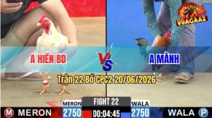 Trận 22 CPC2 20/06/2026 – Gà Điều Anh Mành Lướt 1 Cái Lụm Tiền