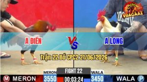 Trận 22 CPC2 21/06/2026 – Anh Điền Đánh Bại Anh Long Nhẹ Nhàng