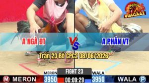 Trận 23 CPC2 08/06/2026 - Gà Cú Anh Phán Đá Khôn Như Người Ta