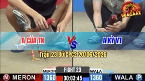 Trận 23 CPC2 20/06/2026 – Gà Điều Anh Kỳ Đá Chân Nào Cũng Có Cựa