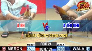 Trận 24 CPC2 24/06/2026 – Gà Cú Kêu Thì Gà Điều Chỉ Có Đường Tử