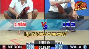 Trận 25 CPC2 22/06/2026 – Gà Anh Mắm Đâm Cây Hiểm, Anh Vũ Lên Đường
