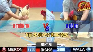Trận 26 CPC2 18/06/2026 – Gà Anh Toàn Tây Ninh Đá Cựa Quá Tịch